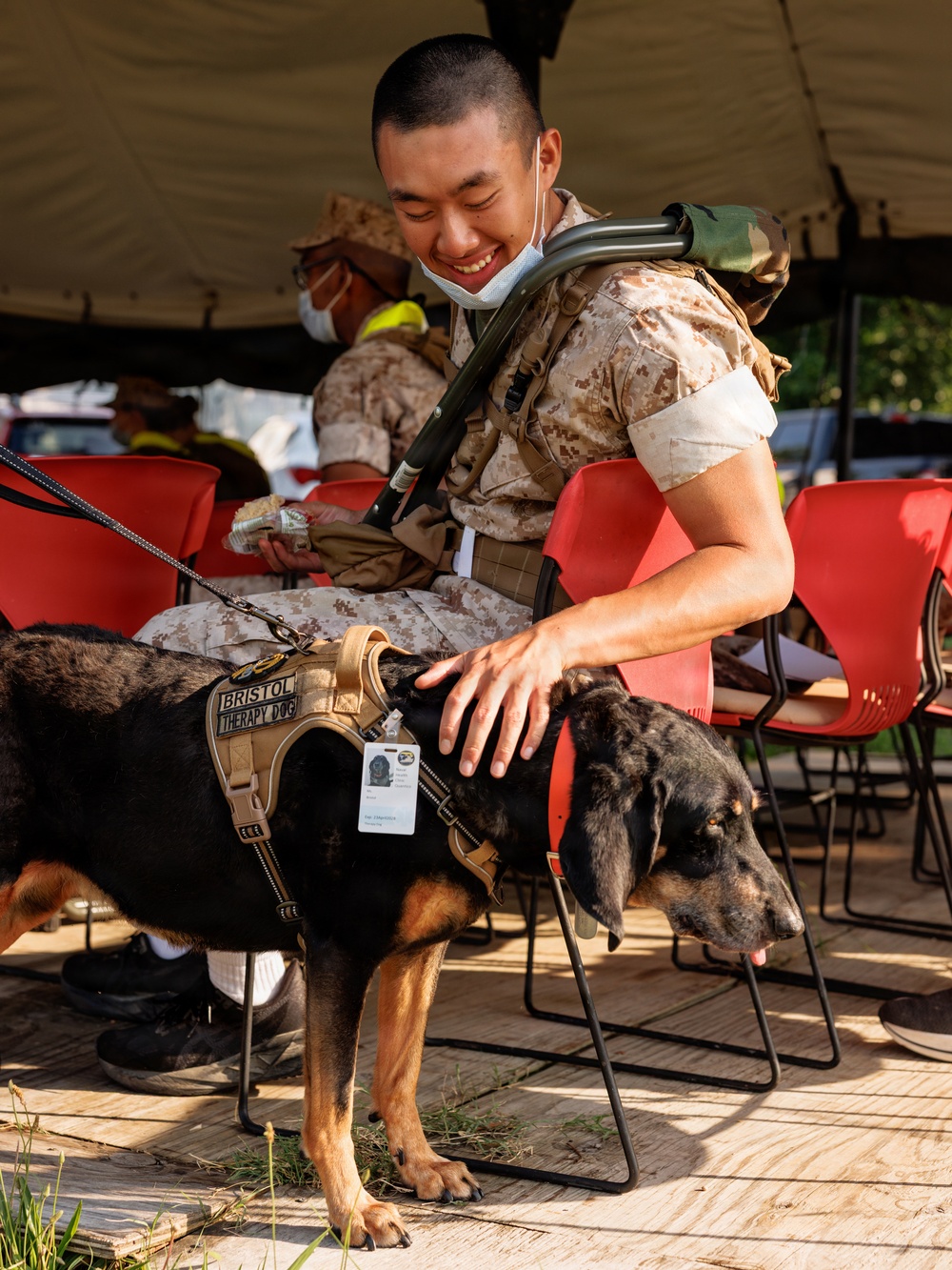 Therapy Dog Bristol visits Marines and Sailors aboard MCB Quantico health clinics