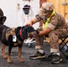 Therapy Dog Bristol visits Marines and Sailors aboard MCB Quantico health clinics