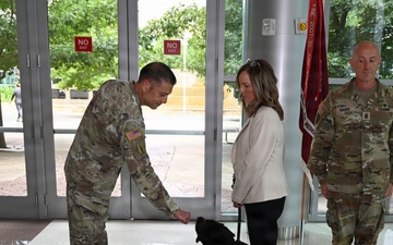 Facility dog Solomon promoted to first lieutenant after year of healing, comfort, at CRDAMC