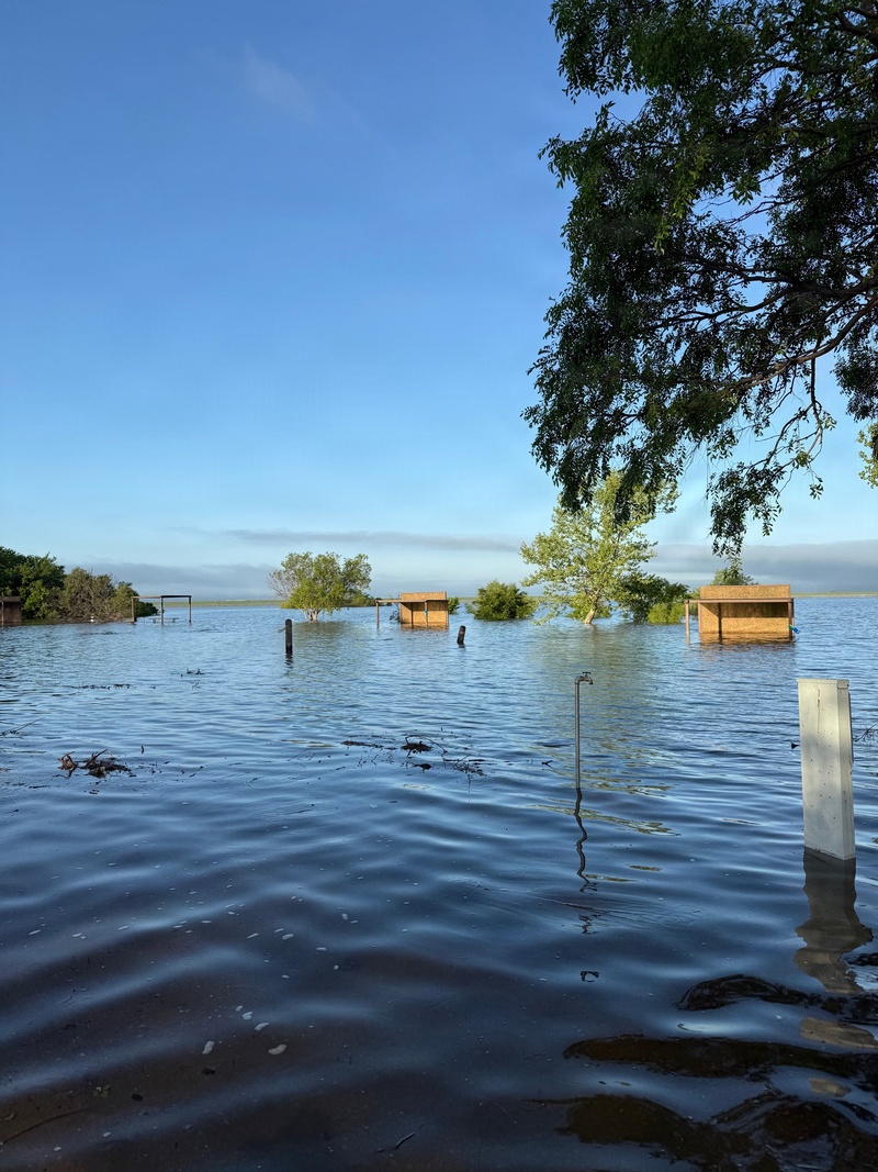 The Flood That Wasn’t: The Quiet Flood of 2025