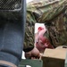 Michigan National Guard Performs HIRAIN