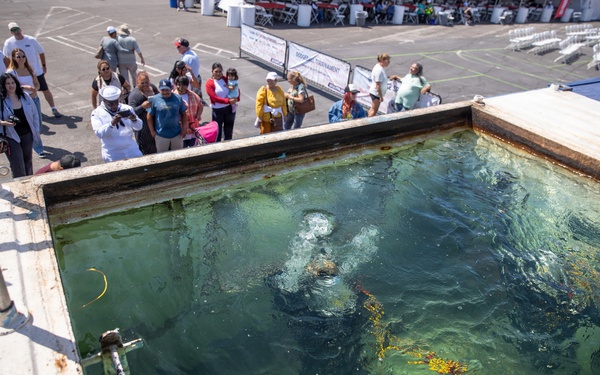 UCT 2 Divers at LA Fleet Week 2026