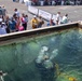 UCT 2 Divers at LA Fleet Week 2026