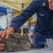 Coast Guard Sector San Diego Hosts Wellness and Resiliency Event