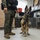 U.S. Marine Corps Military Working Dog Rambo