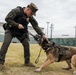 U.S. Marine Corps Military Working Dog Rambo