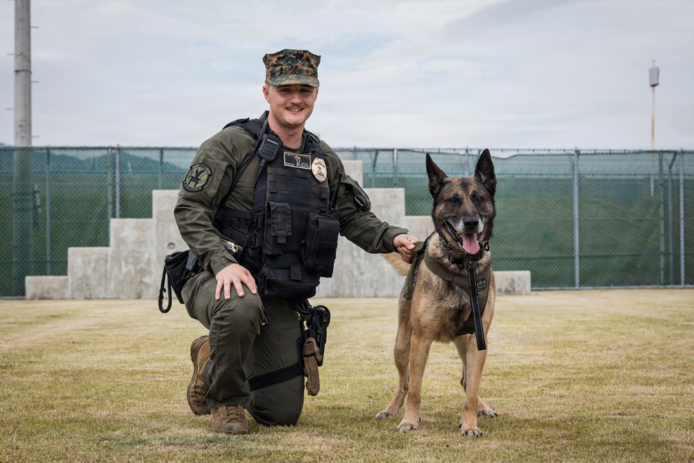 U.S. Marine Corps Military Working Dog Rambo