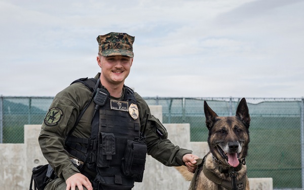 U.S. Marine Corps Military Working Dog Rambo