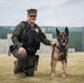 U.S. Marine Corps Military Working Dog Rambo