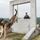 U.S. Marine Corps Military Working Dog Rambo