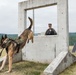 U.S. Marine Corps Military Working Dog Rambo