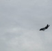 Joint Power in Finland: U.S. F-35s and Marines Integrate at Ramstein Flag 26