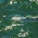 Unmanned Undersea Vehicle Group (UUVGRU) 1 conducts UUV operations during BALTOPS 2026