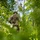 NCOA Class 07-26 - Land Nav NCOA Class 07-26 - Land Nav