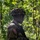NCOA Class 07-26 - Land Nav NCOA Class 07-26 - Land Nav