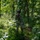 NCOA Class 07-26 - Land Nav NCOA Class 07-26 - Land Nav