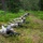 7ATC NCOA Class 07-26 Warfighter Lanes 7ATC NCOA Class 07-26 Warfighter Lanes