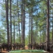 218th Regimental Training Battalion hosts OCS VIP Day