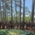 218th Regimental Training Battalion hosts OCS VIP Day