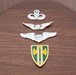 Military Funeral Honors were Conducted for U.S. Army Col. Roy Isaacson in Section 62