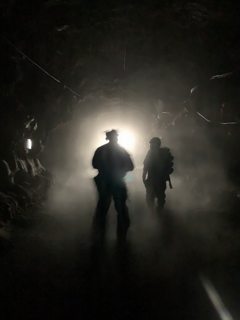 Joint Service Program Delivers Genetic Intelligence for the Modern Battlefield
