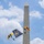 The U.S. Army Parachute Team jumps over Washington Monument for Freedom 250 events