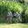 Trauma Capstone prepares Tripler’s medical residents for deployed environments