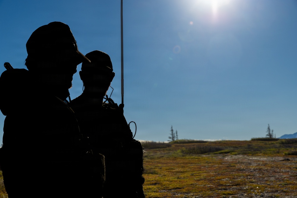 Silent Professionals Set the Conditions for Red Flag Success