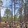 218th Regimental Training Battalion hosts OCS VIP Day