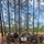 218th Regimental Training Battalion hosts OCS VIP Day
