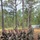 218th Regimental Training Battalion hosts OCS VIP Day