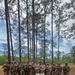218th Regimental Training Battalion hosts OCS VIP Day
