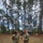 218th Regimental Training Battalion hosts OCS VIP Day