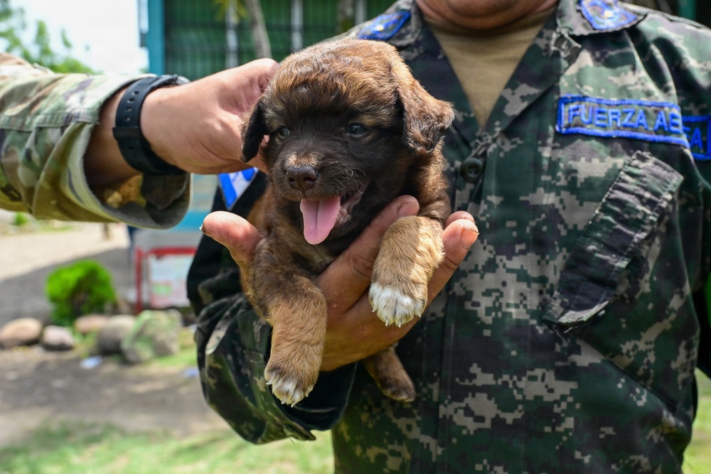 U.S., Honduran forces strengthen partnership during medical brigade in Villa de San Antonio