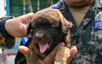U.S., Honduran forces strengthen partnership during medical brigade in Villa de San Antonio