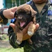 U.S., Honduran forces strengthen partnership during medical brigade in Villa de San Antonio