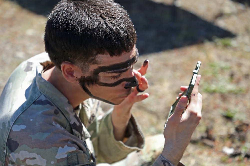 21st ICTC Camouflage Training
