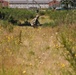 21st ICTC Camouflage Training