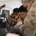 Three military personnel in desert camouflage uniforms (MARPAT pattern consistent with U.S. Marines) are working at what appears to be a communications or operations station. Two individuals are actively speaking on corded telephone handsets while a third person in the foreground appears to be reviewing documents. The setting suggests a command post or operations center environment.