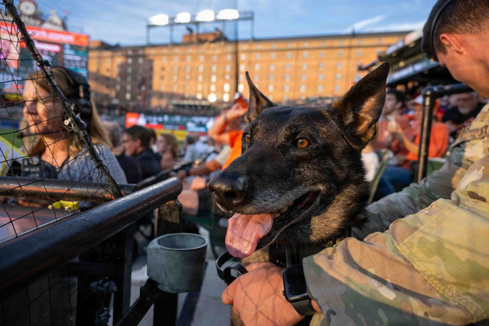 316 SFS MWD recognized at Bark at the Park