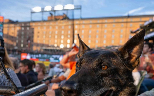 316 SFS MWD recognized at Bark at the Park
