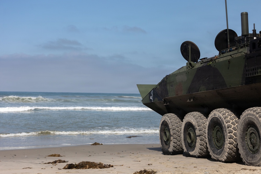 V2/5 and 1st LAR Conduct EOTG Mechanized Raid Course