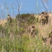 V2/5 and 1st LAR Conduct EOTG Mechanized Raid Course