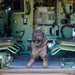Idaho National Guard Counterdrug hosts Idaho Police Canine Association