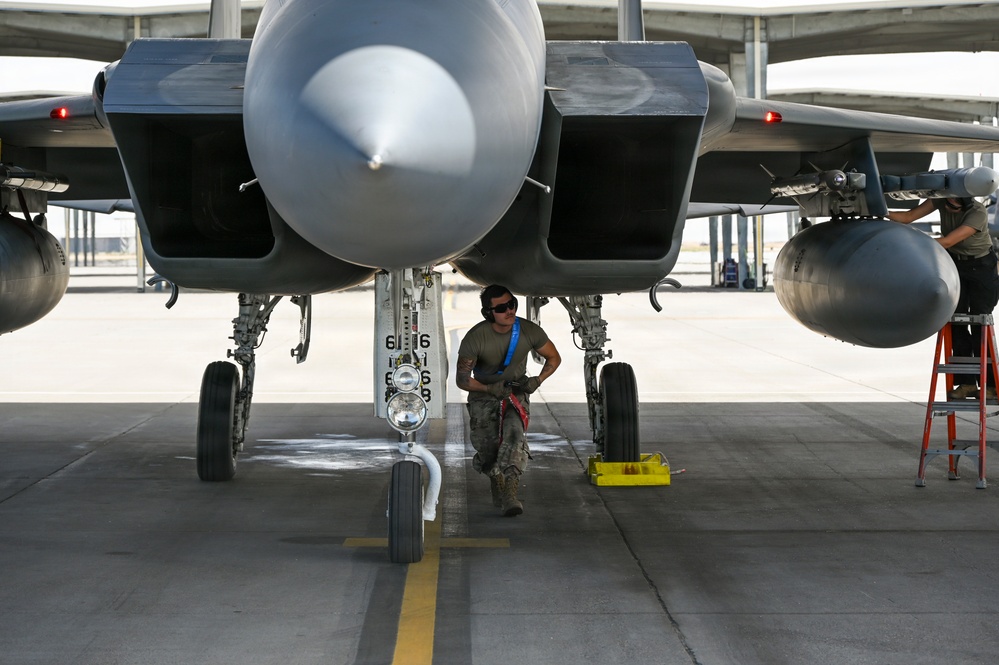 15Cs train with F-15Es at Mountain Home AFB