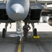 15Cs train with F-15Es at Mountain Home AFB