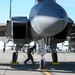 15Cs train with F-15Es at Mountain Home AFB