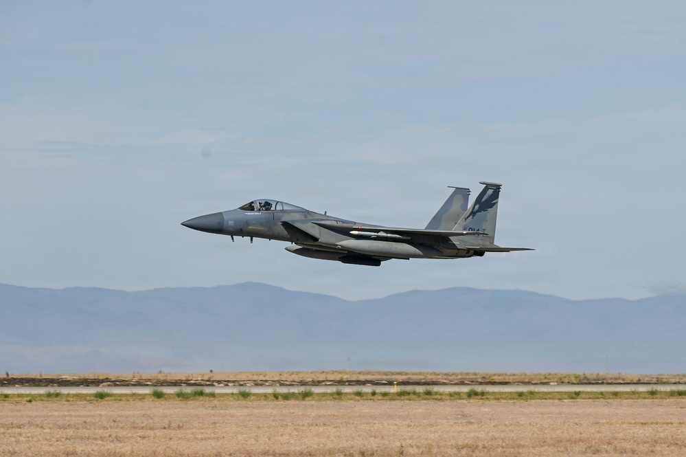 15Cs train with F-15Es at Mountain Home AFB