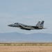 15Cs train with F-15Es at Mountain Home AFB