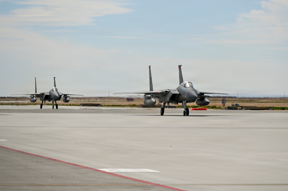 15Cs train with F-15Es at Mountain Home AFB